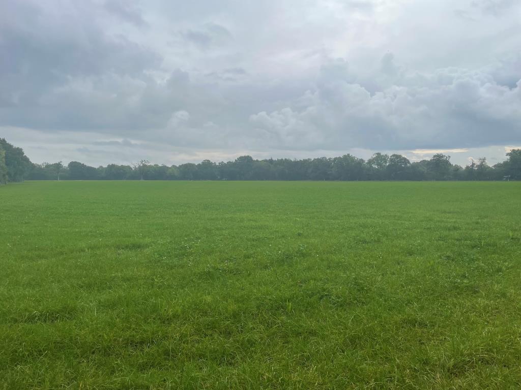 Lot: 94 - JUST OVER 33 ACRES OF FARMLAND IN STRATEGIC LOCATION - TO BE OFFERED FOR SALE BY PUBLIC AUCTION ON FRIDAY, 25TH OCTOBER 2024 - Southerly view of rear parcel of land with tree borders